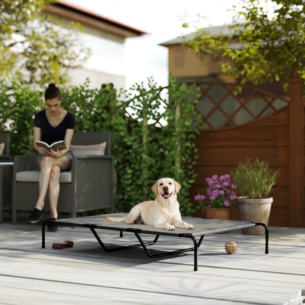 PawHut Lettino per Cani Grandi Rialzato da Esterno in Acciaio e Rete Traspirante, 152x94x23 cm, Grigio | Aosom Italy