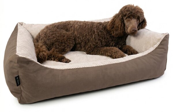 4L Textil TEO: Cuccia confortevole e lavabile per cani, con rivestimento removibile, dimensioni 120x100 cm (marrone/beige)