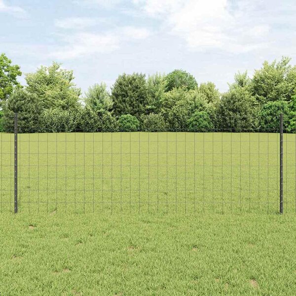 Recinzione in Rete Saldato 10 x 0,8 m (L x H)