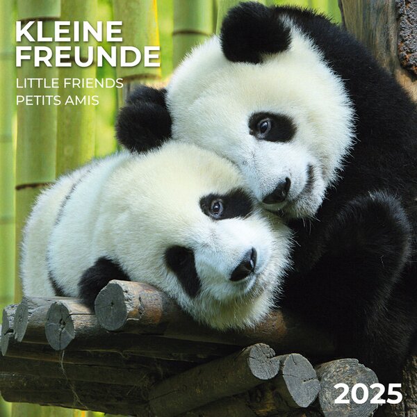 Calendario 2025 Little Friends