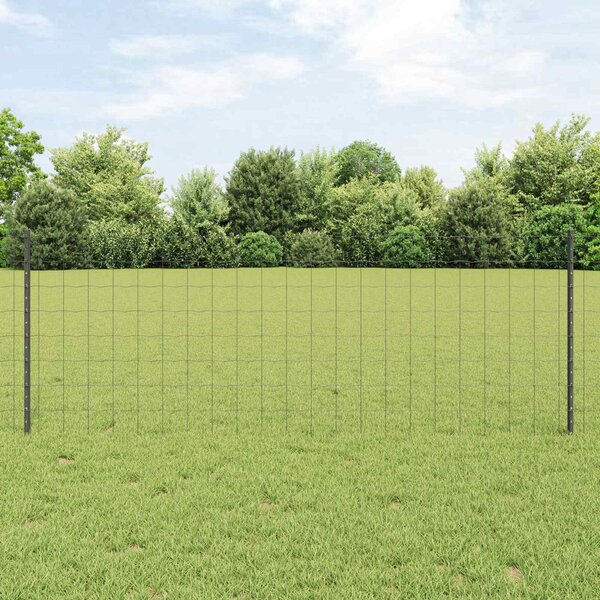 Recinzione in Rete Saldato 10 x 0,8 m (L x H)