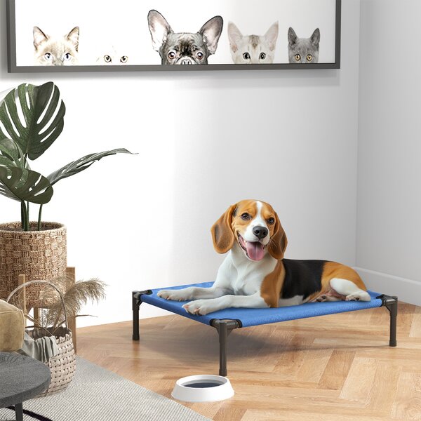 PawHut Cuccia Lettino per Cani Rialzato Pieghevole per Interno ed Esterno in Metallo e Tessuto Oxford, 76x61x18 cm, Blu