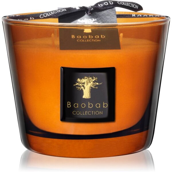 Baobab Collection Les Prestigieuses Cuir de Russie candela profumata 10 cm
