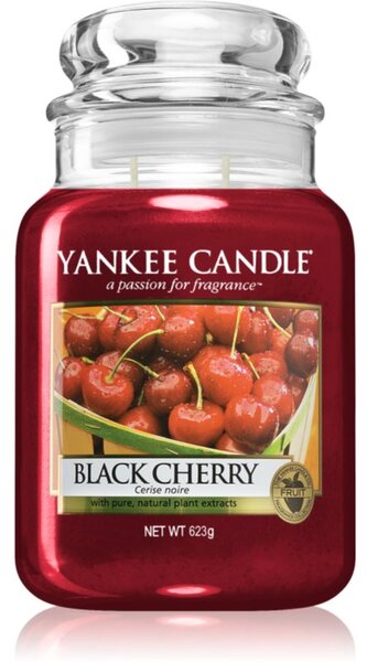 Yankee Candle Black Cherry candela profumata Classic media 623 g
