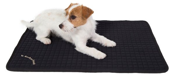 Materasso per cani Back on Track Allround, colore:Nero, dimensioni:100x68