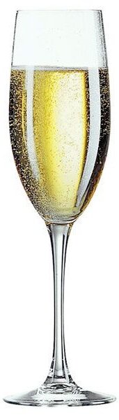 Calice per pregiati vini spumanti e champagne, design elegante e moderno, bordi sottili, vetro cristallino ad altissima trasparenza