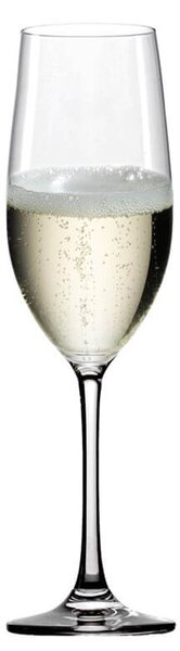 Stolzle Classic Long Life Calice Flute Champagne 24 cl Set 6 Pz