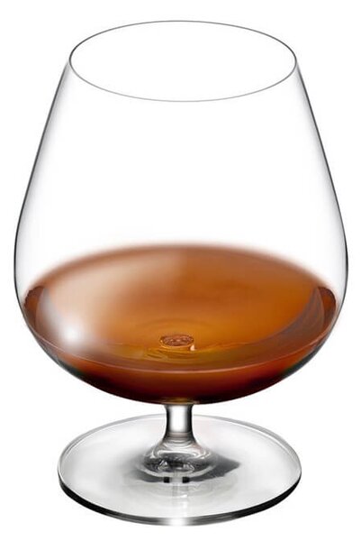 Calice imponente e di ampie dimensioni per una perfetta esperienza nella degustazione di brandy e cognac in vetro cristallino di eccezionale trasparenza, brillantezza e resistenza