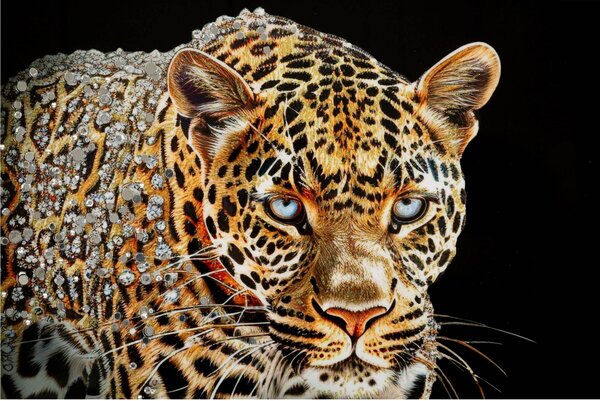 Dipinto su tela completo di telaio in legno e cornice GIAGUARO Dimensione 82x4x h82 cm telo in plastica multicolor