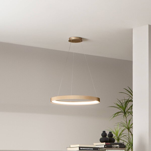 Luce Ambiente Design Lampada LED a sospensione Niike, color oro, Ø 50 cm, metallo, CCT Niike, Ottone / Oro, Soggiorno / Sala da pranzo, Metallo, Moderno
