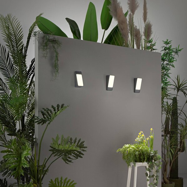 INTEC Applique da esterni a LED Coupe, Nero, Alluminio, Moderno, Applique LED da esterni