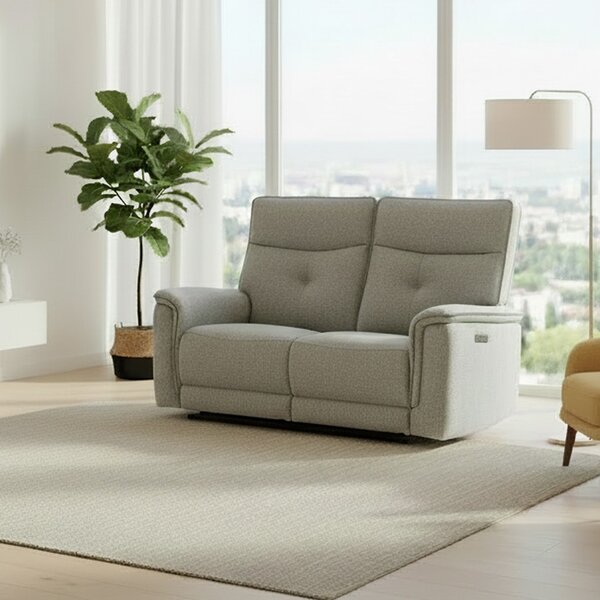 DecHome Divano Relax 2 Posti Moderno Schienale Reclinabile Meccanismo Elettrico in Tessuto Dimensioni 157x96x105 cm colore Grigio - Elysio