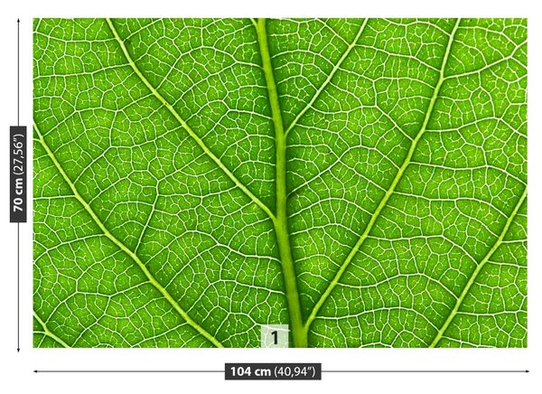 Carta da parati Foglia verde 104x70 cm
