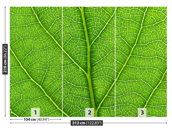 Carta da parati Foglia verde 104x70 cm