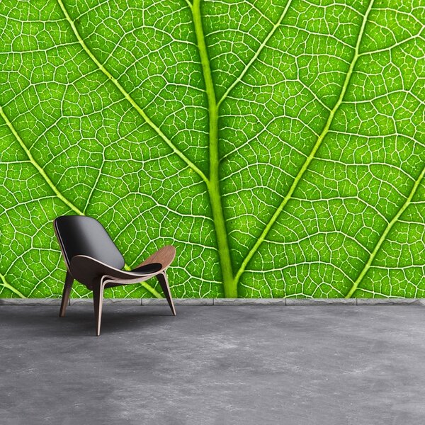 Carta da parati Foglia verde 104x70 cm