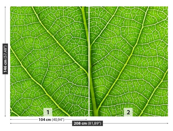 Carta da parati Foglia verde 104x70 cm