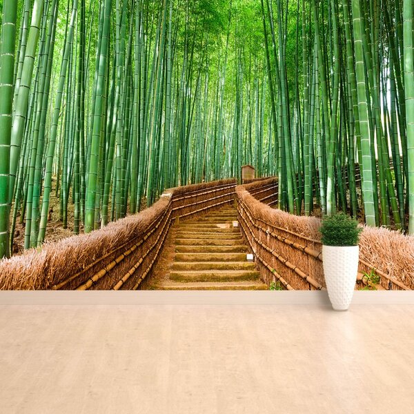 Carta da parati Foresta di bamboo 104x70 cm