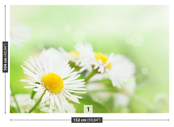 Carta da parati Green Daisy 104x70 cm