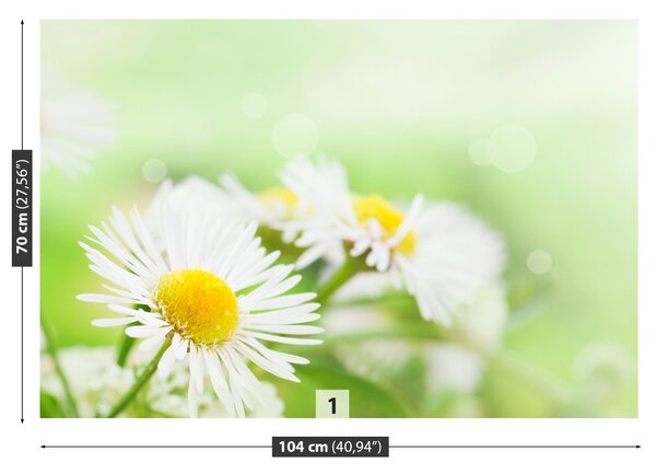 Carta da parati Green Daisy 104x70 cm