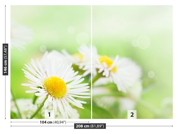 Carta da parati Green Daisy 104x70 cm