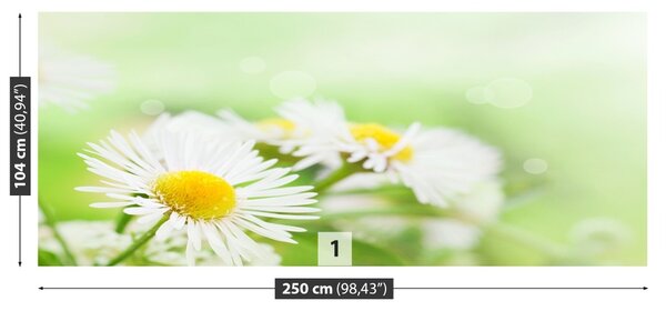 Carta da parati Green Daisy 104x70 cm