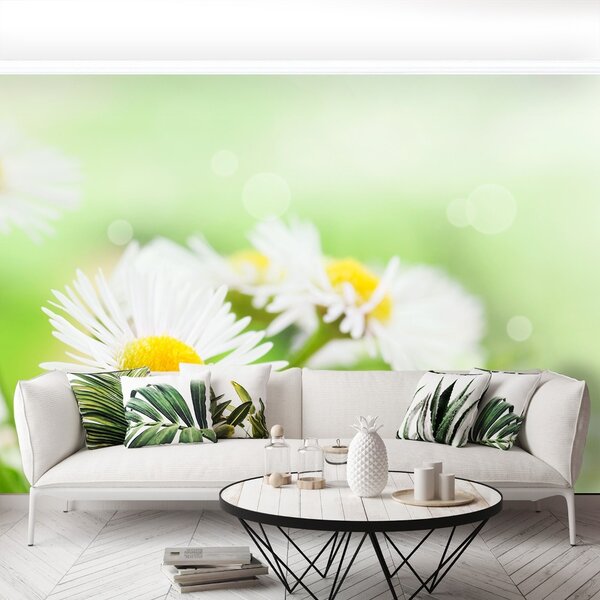 Carta da parati Green Daisy 104x70 cm