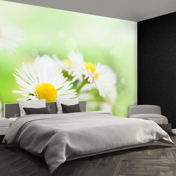 Carta da parati Green Daisy 104x70 cm