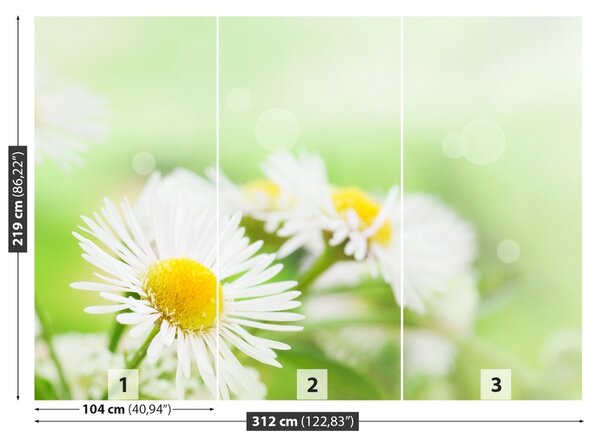 Carta da parati Green Daisy 104x70 cm