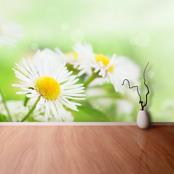Carta da parati Green Daisy 104x70 cm