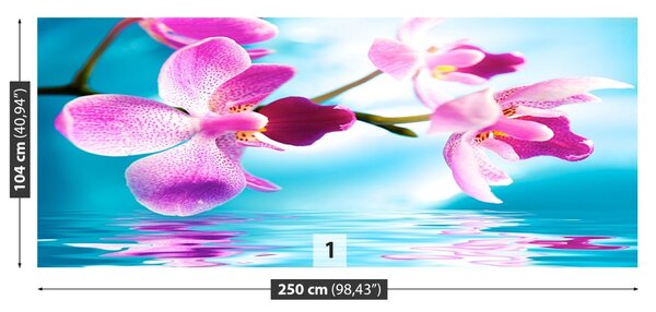 Carta da parati Acqua di Orchida 104x70 cm