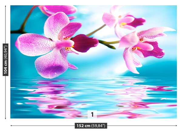 Carta da parati Acqua di Orchida 104x70 cm