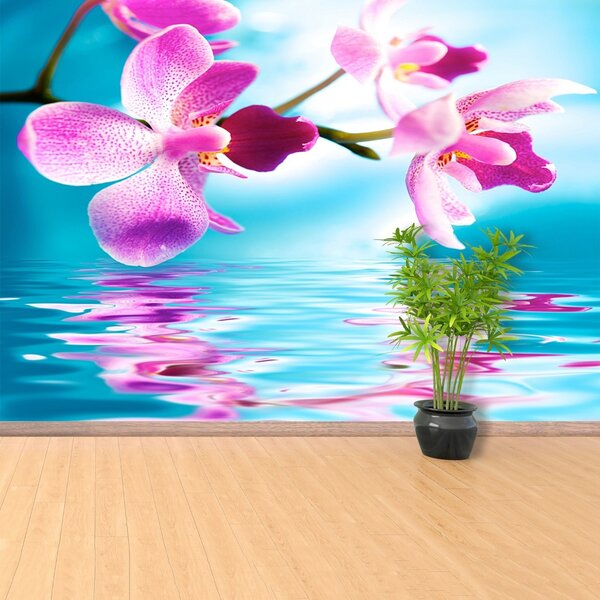 Carta da parati Acqua di Orchida 104x70 cm