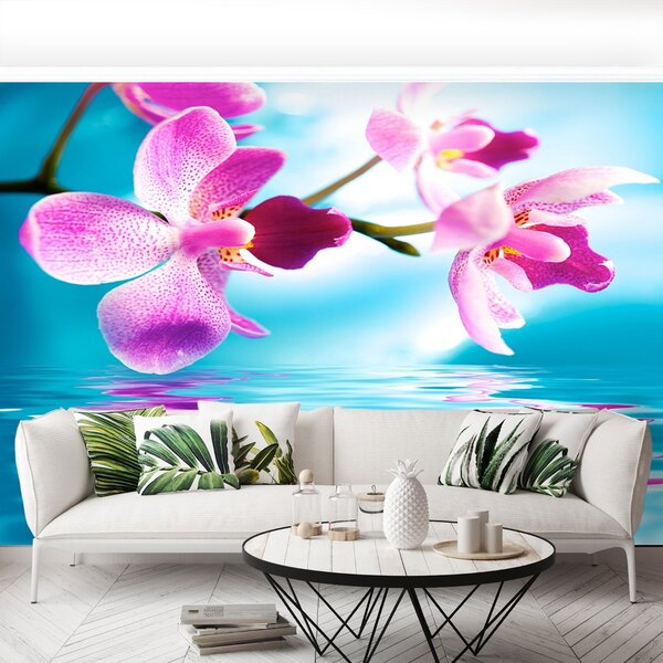Carta da parati Acqua di Orchida 104x70 cm