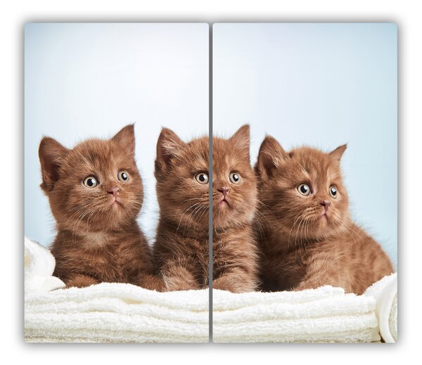 Tagliere in vetro Chatter Cats 60x52 cm