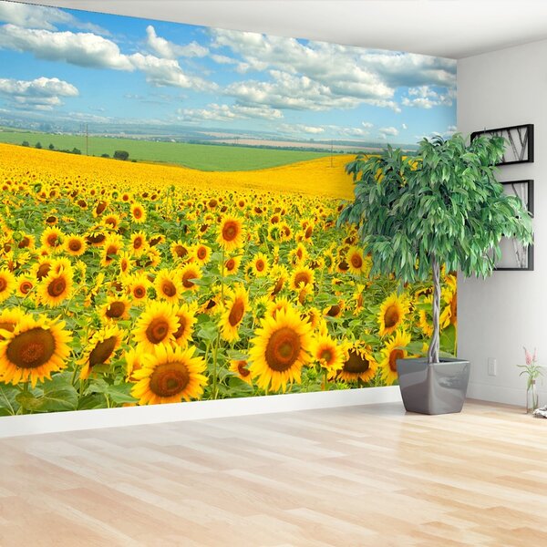Carta da parati Campo di girasole 104x70 cm
