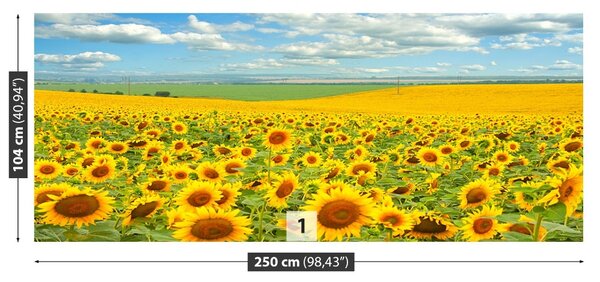 Carta da parati Campo di girasole 104x70 cm