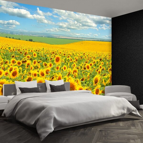 Carta da parati Campo di girasole 104x70 cm