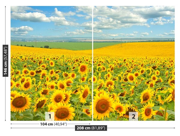 Carta da parati Campo di girasole 104x70 cm