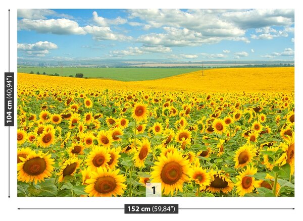 Carta da parati Campo di girasole 104x70 cm
