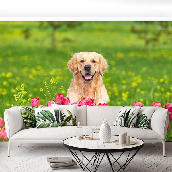 Carta da parati Cane di tulipano 104x70 cm