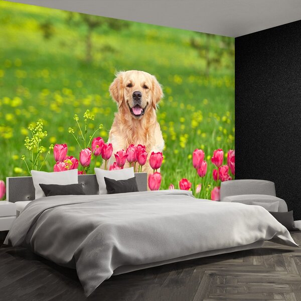 Carta da parati Cane di tulipano 104x70 cm