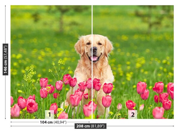 Carta da parati Cane di tulipano 104x70 cm