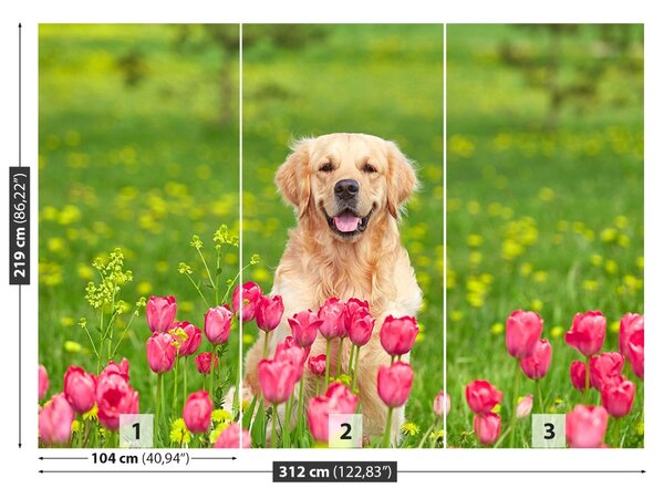 Carta da parati Cane di tulipano 104x70 cm