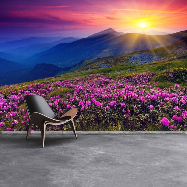 Carta da parati Fiori del rododendro 104x70 cm