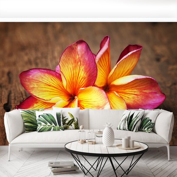 Carta da parati Plumeria Wood 104x70 cm