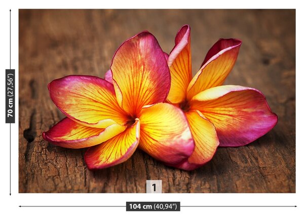 Carta da parati Plumeria Wood 104x70 cm