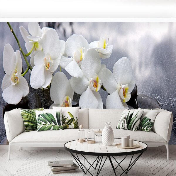 Carta da parati Pietre di orchidee 104x70 cm