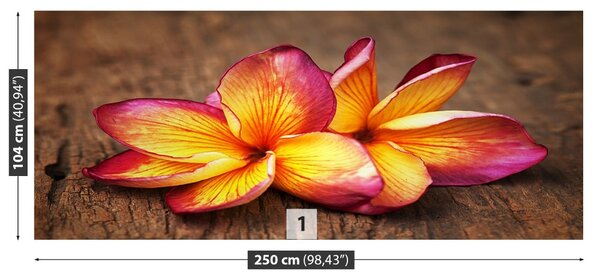 Carta da parati Plumeria Wood 104x70 cm