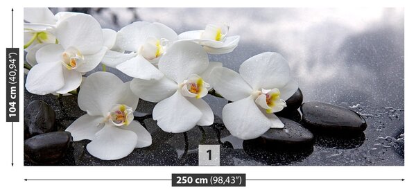 Carta da parati Pietre di orchidee 104x70 cm