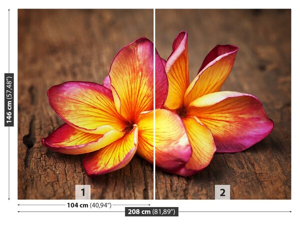 Carta da parati Plumeria Wood 104x70 cm